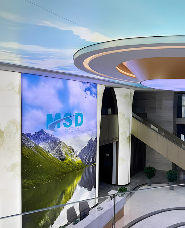 Zhejiang MSD Group Share Co., Ltd. Zhejiang MSD Group Share Co., Ltd.